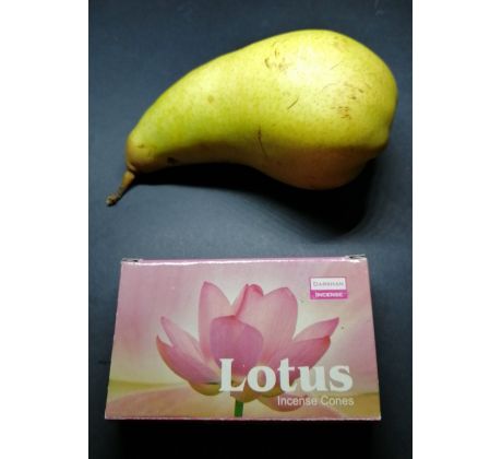 Darshan  Lotus
